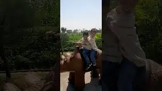 Taman Dino