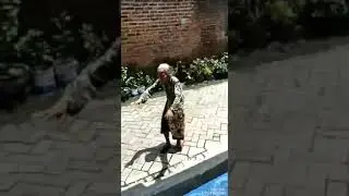 Lucu, goyangan Neneknya