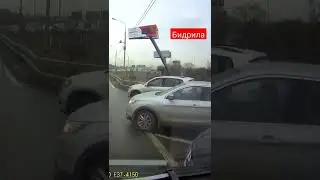 Бидрилы и обочечники