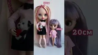 Чем отличается Блайз от Миди?