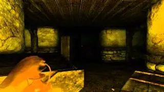 Lets play together Amnesia Custom story "Kidnapped" Part 2 l Panik