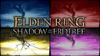 Is Shadow of The Erdtree.. The End?