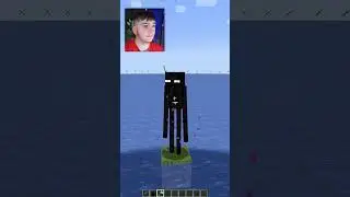 Enderman VS 1000 Arrows ! 