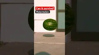 What can survive the ground? 🤔