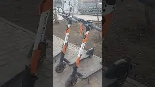 Идем Эдвина кормить)