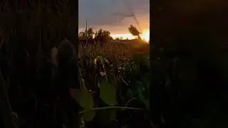 Как красиво!!!