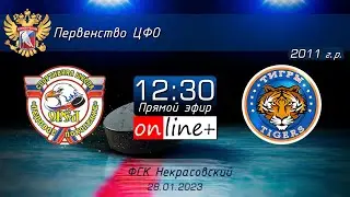 Первенство ЦФО | Ледовое поколение - Тигры | 2011 г.р. | 28.01.2023