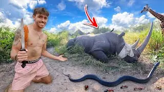 I Survived With The Most DANGEROUS Animals In South Africa.. (The Giant Pig)