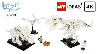 LEGO Ideas 21320 Dinosaur Fossils - Lego Speed Build 4K