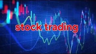 The stock market
