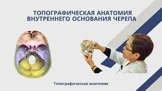Топографическая анатомия внутреннего основания черепа