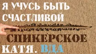 Спикерское Катя ВДА