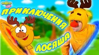 ЛОСЯШ В РЕАЛЬНОЙ ЖИЗНИ - СМЕШАРИКИ LIVE
