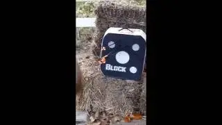 Bear Flash Youth Bow Review hunting practice!