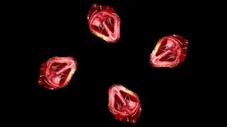 Hologram Pyramid Movie Human Heart 3D [Mr Plash]