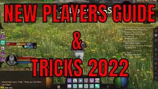 5 Tips & Tricks for New Players in Project Gorgon! Money Making, Skills & Builds & Favor Guide!