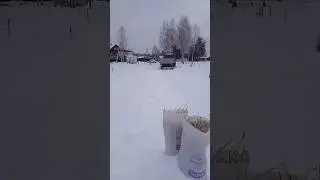 Сколько весит рулон сена?