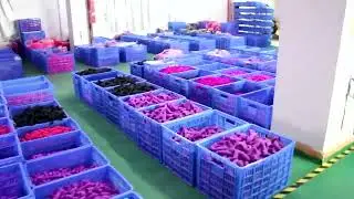 Megarl Factory