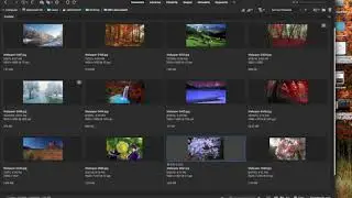 Adobe Bridge CC 2020 - Working with thumbnails in Bridge