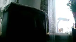 Мир Дисней!