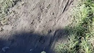 КАЛИНИНГРАД.ИЗМЕНЕНИЯ В РАЙОНЕ ДЕВАУ