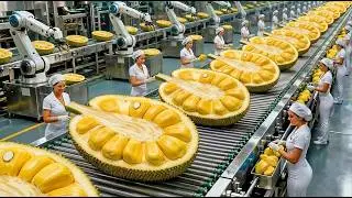 Inside a Modern Fruit Factory: How Giant Jackfruits Become Crispy Snacks (Full Process)