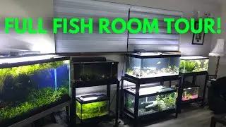 FULL FISH ROOM TOUR 2020!!! ALL MY TANKS