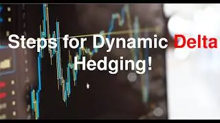 Steps for Dynamic Delta Hedging: Part 2