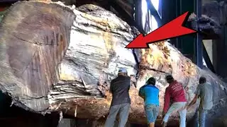 Best Skills for Cutting Extraordinary Old Teak Wood || Wood Cutting Machine 🌳🪵