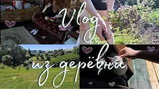 Раскопали СЕКРЕТИКИ спустя 5 лет ✨ Vlog из деревни 2024 🔓