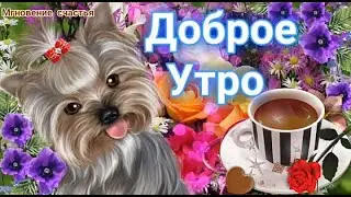 Доброе Утро! ☕🌹🌹🌹 Великолепного дня! 😍