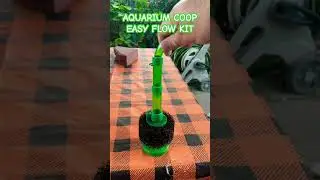 BEST TANK UPGRADE WITH @AquariumCoop  MUST TRY 🐡