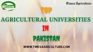 Top Agricultural Universities In Pakistan | Universities In Pakistan | Agriculture University