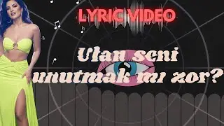 Unuttum Seni̇-Cansu Poyraz/Lyric Video