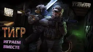 Escape from Tarkov (Тарков) #38. (ТИГР - играем вместе!!!) 18+