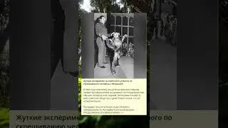 Жуткие эксперименты советского учёного по скрещиванию человека с обезьяной