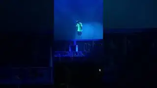 Tyler the creator IFHY 2019 GovBall Live