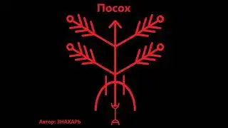 РУНИЧЕСКИЙ СТАВ ПОСОХ ЗАЩИТА ОТ СМЕРТЕЛЬНЫХ ПОРЧ *204