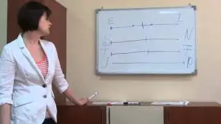 4 Золотое правило Соционики