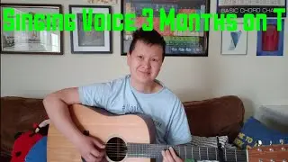 Singing Voice 3 Months on Low Dose Testosterone - The Soldier and the Oak (Elliot Park) Cover
