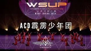 [3rd Place JUNIORS] ACD霹雳少年团 | WSUP JUNIOR Dance Comp 2024 [@VIBRVNCY 4K]
