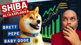 SHIBA EXPLODIRÁ NA BANDEIRA DE TOURO