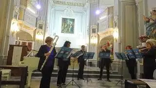 Angela Montemurro, Tarantella Tarantellata