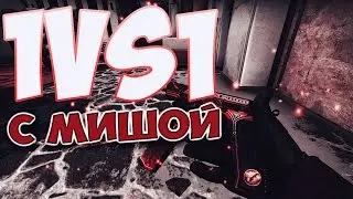 1VS1 - ( С Мишой )