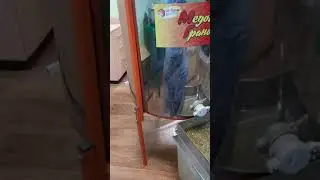 В догонку к предудущему видео.