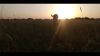 Balaca it. zvonok. Звонок