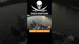 Boatside musky strike goes under the kicker motor! 