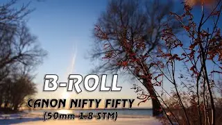 Winter Snow B Roll on Canon 70D @ Lake Simcoe