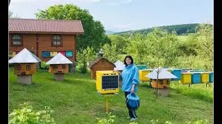 Старый МЕД что с ним делать???Пчеловодство