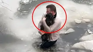 The little puppy kept his last strength in the icy water! The man immediately rushed to the rescue!